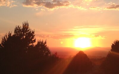 Solstice Offering: Remember