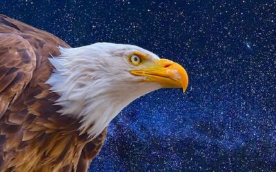Eagle Medicine: Expand Your Vision