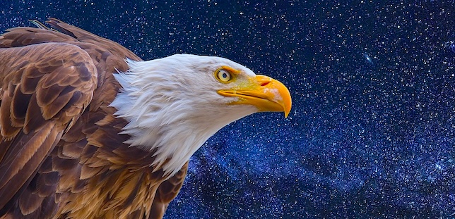 Eagle Medicine: Expand Your Vision